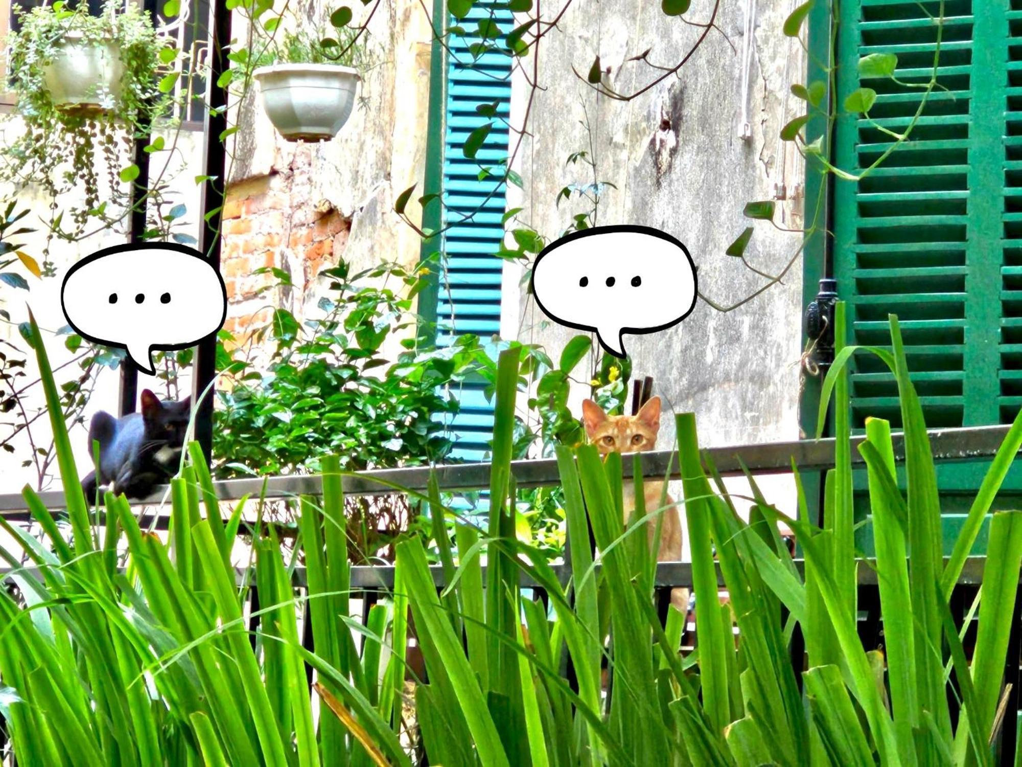 Azalea Apartment Hanoi Eksteriør bilde