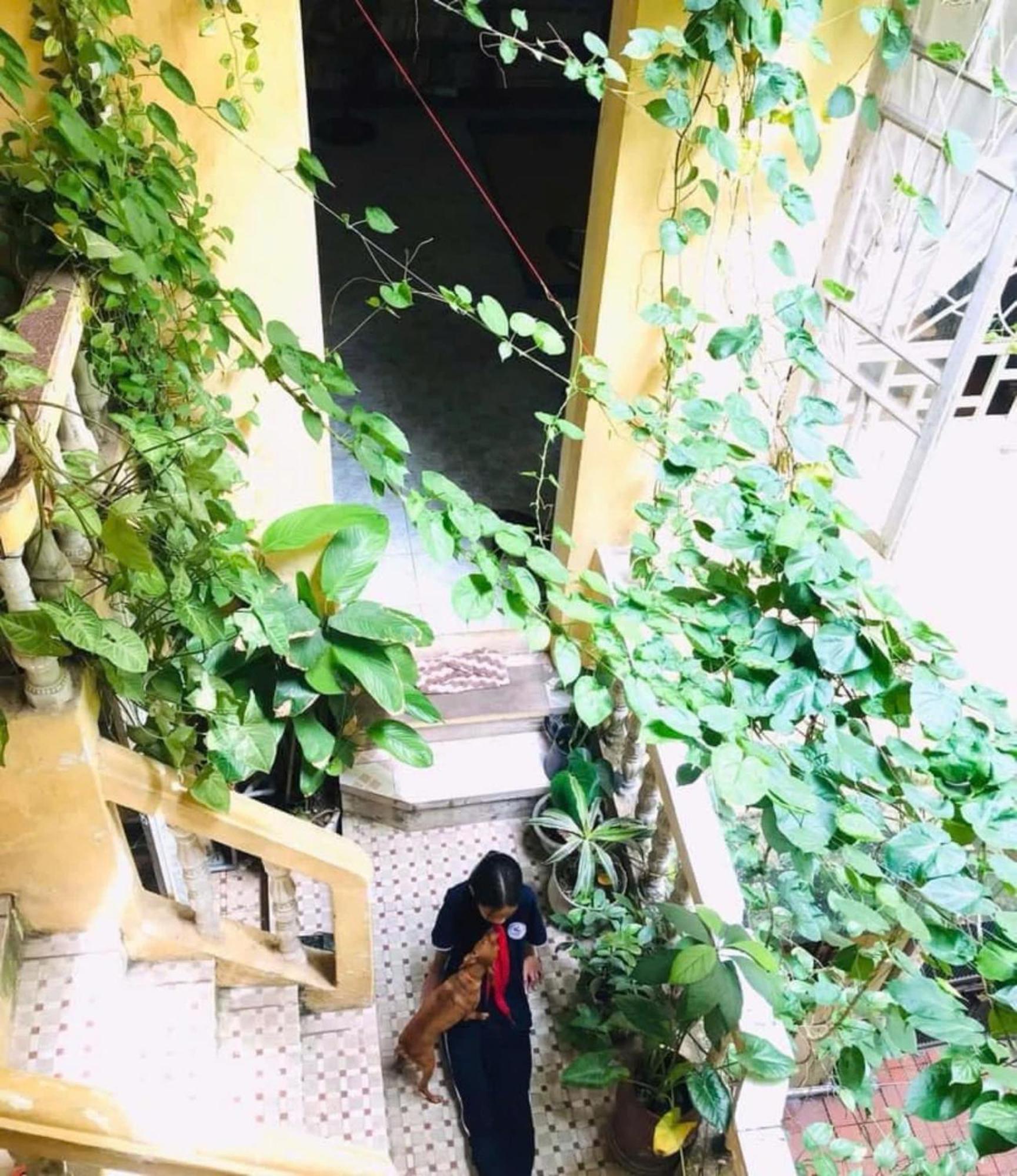 Azalea Apartment Hanoi Eksteriør bilde