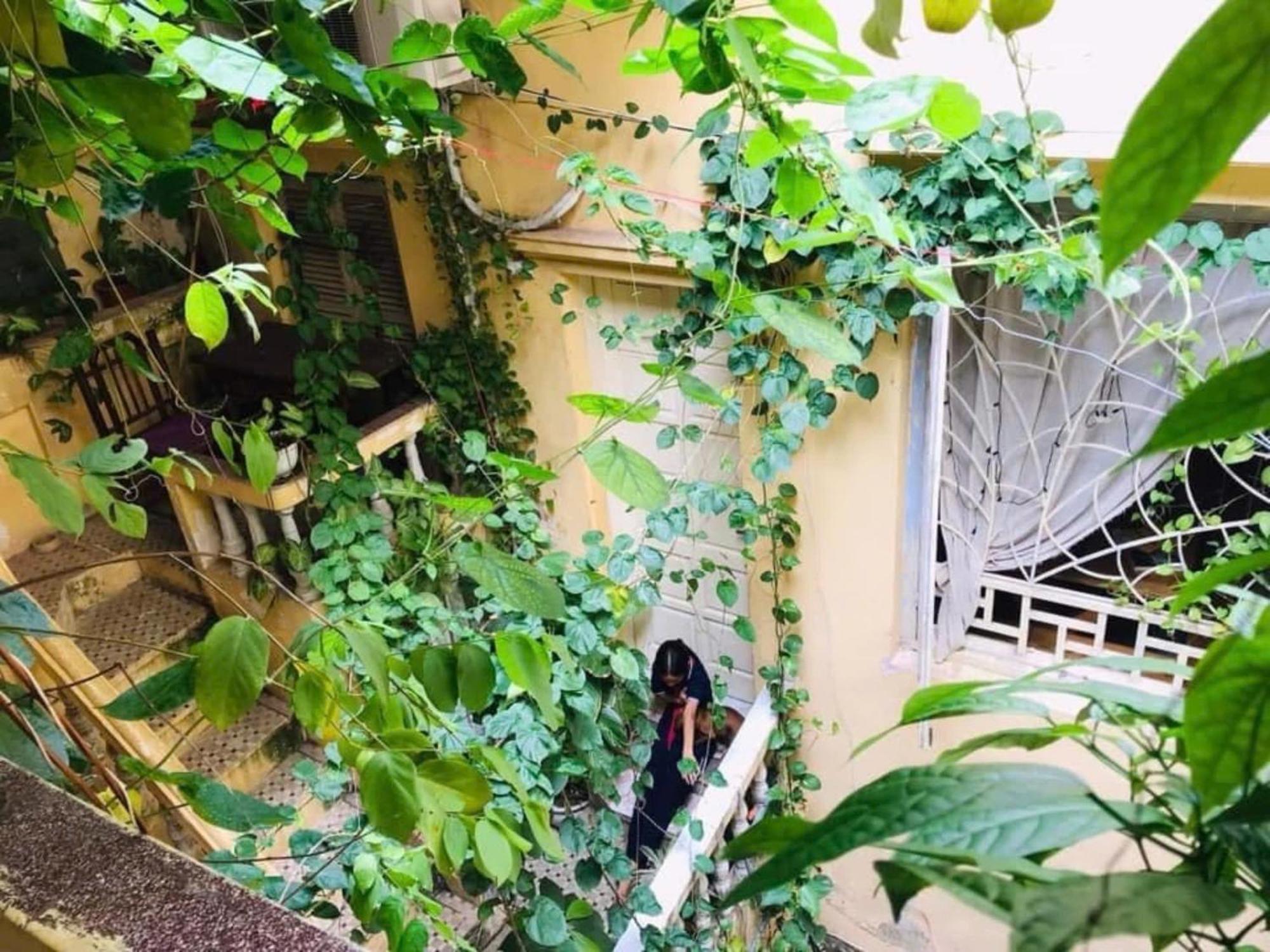 Azalea Apartment Hanoi Eksteriør bilde