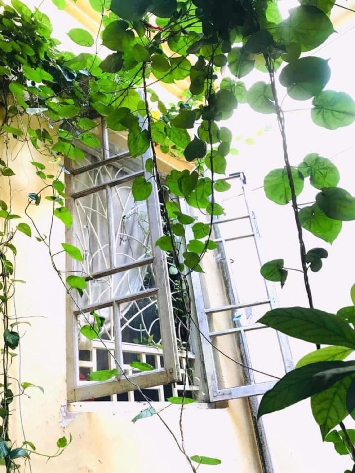 Azalea Apartment Hanoi Eksteriør bilde